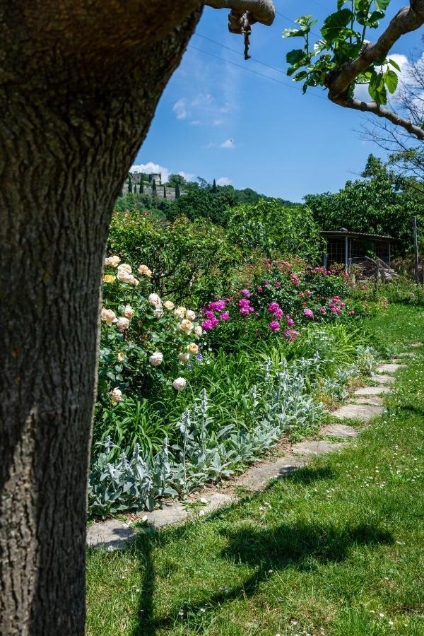 Rooms&Vinery Bregovi - Sobe In Vinska Klet Bregovi Dobravlje Exterior foto